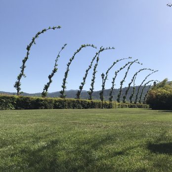 Peju Winery - Gorgeous Napa should-stop winery. - Wine Tasting Room Near Me - Rutherford, California Peju Winery - Gorgeous Napa should-stop winery. - Wine Tasting Room Near Me - Rutherford, California