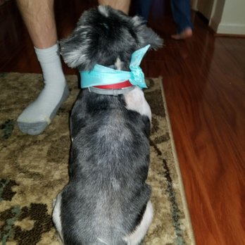 PetSmart - Pet Stores Near Me - Stafford, Virginia