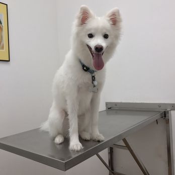 PetCare Express - Veterinarians Near Me - Houston, Texas