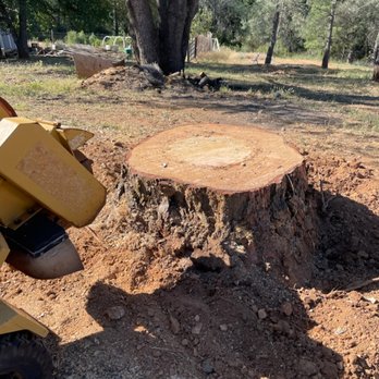 Stewart Stump Grinding - Tree Services Near Me