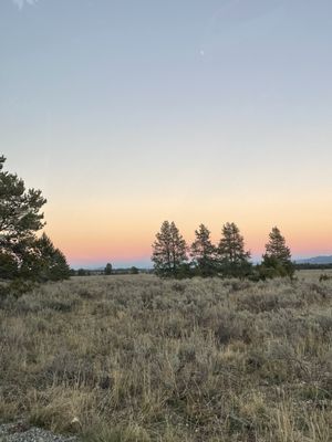 Jackson Hole EcoTour Adventures by null