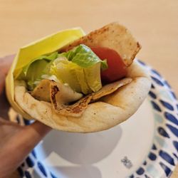Petra Cafe - Chicken gyro sandwich. So little meat