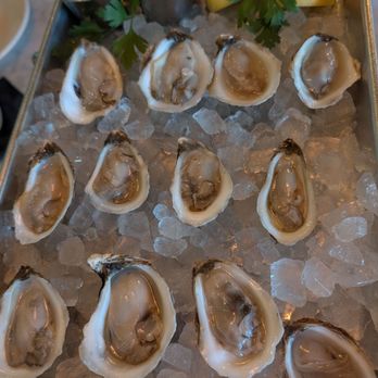 Tiny Champions - Oysters - Pizza Near Me - Houston, Texas Tiny Champions - Oysters - Pizza Near Me - Houston, Texas