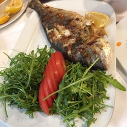 Etap - Fish