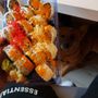 Photo of Kibo Sushi House