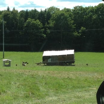 Two Coves Farm - free range chicken and thanksgiving turkey - Farmers Market Near Me - Harpswell, Maine