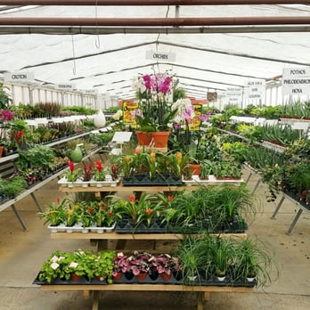 Belgian Nursery - Nurseries & Gardening Near Me - Breslau, Ontario
