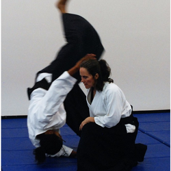 Aikido of Northern Virginia