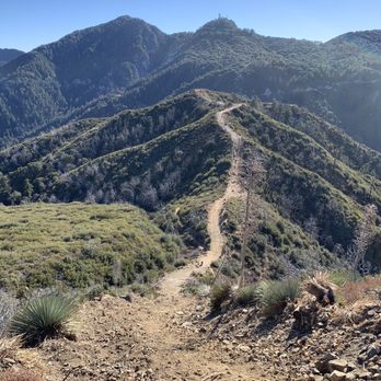Mount Lawlor Via Red Box - Hiking Near Me - Arcadia, California