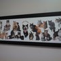 Photo of Animal Emergency Clinic of McLean County