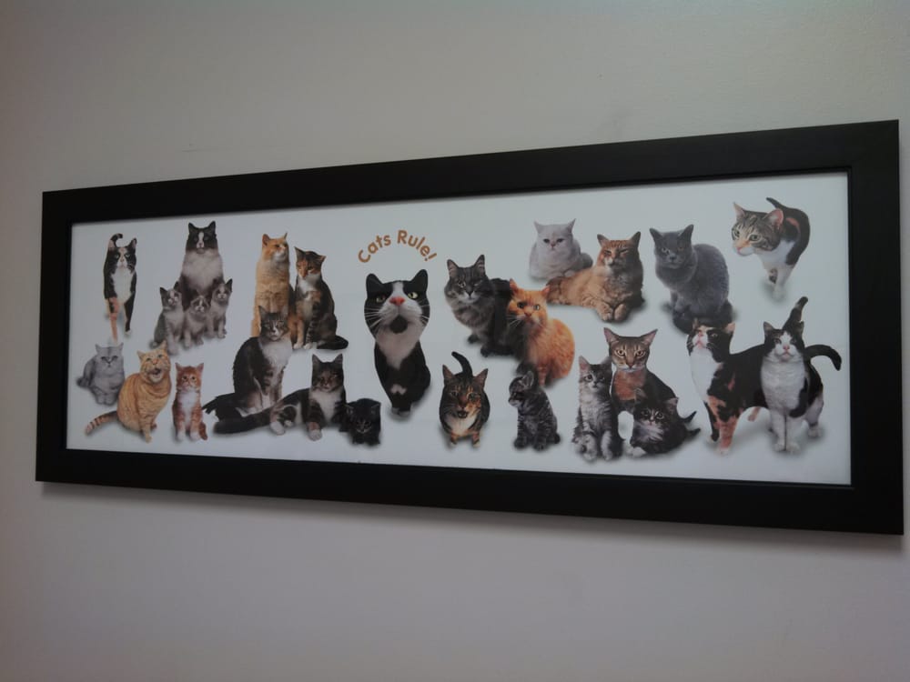 ANIMAL EMERGENCY CLINIC OF MCLEAN COUNTY Updated September 2024 118