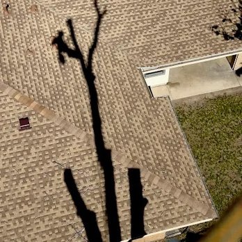 Ellison Tree Company - Tree Services Near Me