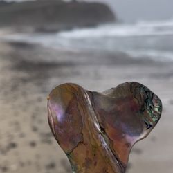 Ross Cove Beach - Ross's Cove