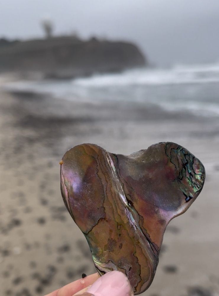 Ross Cove Beach Logo