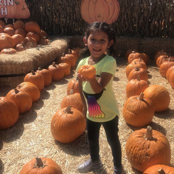 Pa's Pumpkin Patch - Amusement Parks Near Me - Lakewood, California