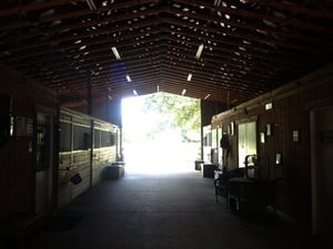 Four D Haven - equestrian in New Port Richey, FL