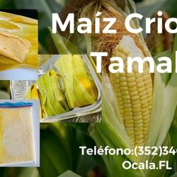 La Finkita Del Maiz