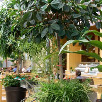 Grönfingers - Genießen unter Palmen - Café-Restaurant Botanica - Nurseries & Gardening Near Me - Rostock, MV Grönfingers - Genießen unter Palmen - Café-Restaurant Botanica - Nurseries & Gardening Near Me - Rostock, MV