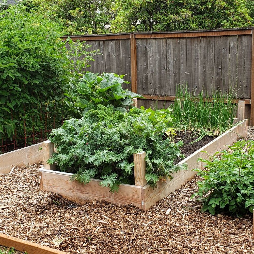 Garden Soil Delivery Portland Oregon Fasci Garden