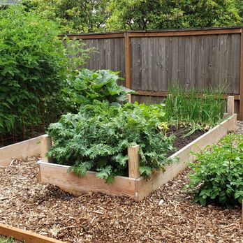 Dean's Residential  - a vegetable garden in a backyard - Landscaping Near Me - Portland, Oregon