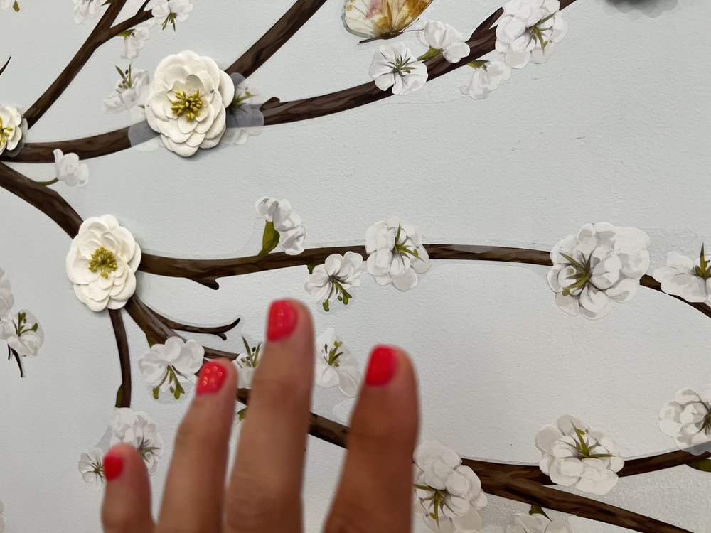 DIVA NAILS SPA & WAX CENTER Updated May 2024 153 Photos & 74