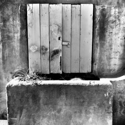 Fullerton Metrolink Station - Planter and window on building