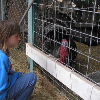 Ojai Valley Trail Riding - Lots of interesting animals to keep kids interested. - Horseback Riding Near Me - Ojai, California Ojai Valley Trail Riding - Lots of interesting animals to keep kids interested. - Horseback Riding Near Me - Ojai, California