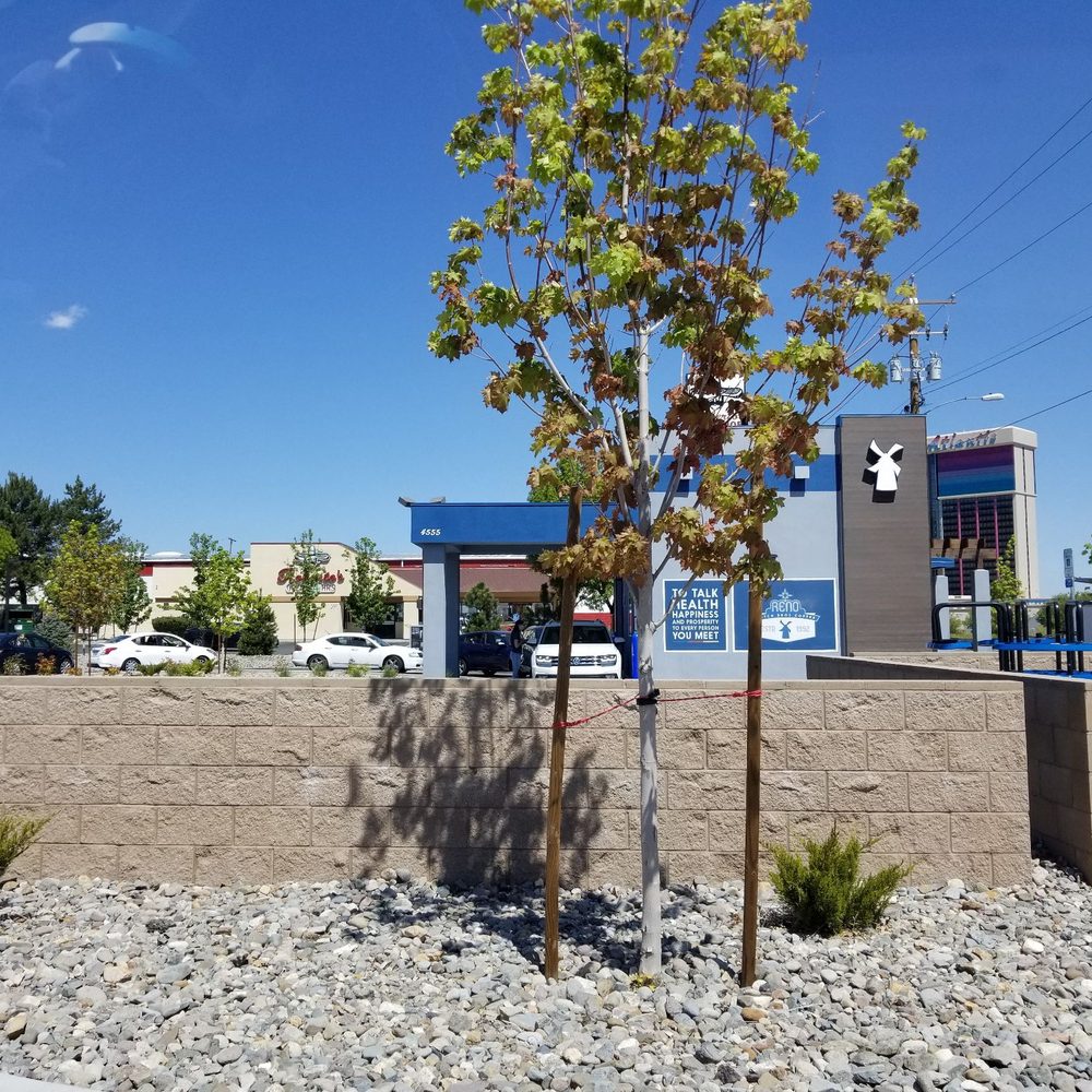 Dutch Bros Coffee - Long line at Dutch. Heard they have new stickers today!!! - Coffee & Tea Near Me - Reno, Nevada Dutch Bros Coffee - Long line at Dutch. Heard they have new stickers today!!! - Coffee & Tea Near Me - Reno, Nevada