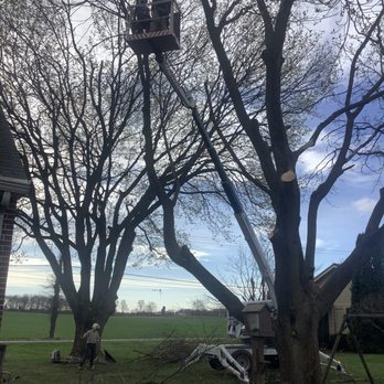 Zeiset Tree Service - Greencastle PA - Tree Services Near Me - Chambersburg, Pennsylvania