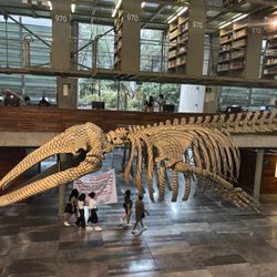 Biblioteca Vasconcelos