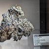 Rice Northwest Museum of Rocks and Minerals gift card