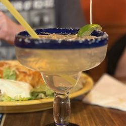 Blue Iguana