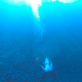 Dive Maui - Scuba Diving Near Me - Lahaina, Hawaii