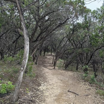 Friedrich Wilderness Park - Parks Near Me - San Antonio, Texas Friedrich Wilderness Park - Parks Near Me - San Antonio, Texas