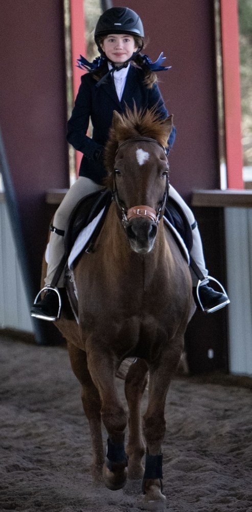 Hill Country Riding Academy - equestrian in New Braunfels, TX