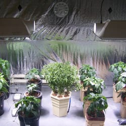 Green Solutions Hydroponics Center