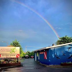 Aquarius Dive Shop - Aquarius Dive Shop