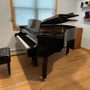 Photo of Kevin's Piano Moving