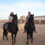 Photo of SoCal Horse Adventures