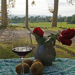 Château du Rouët - Château du Rouët_Vin Côtes de Provence_Var