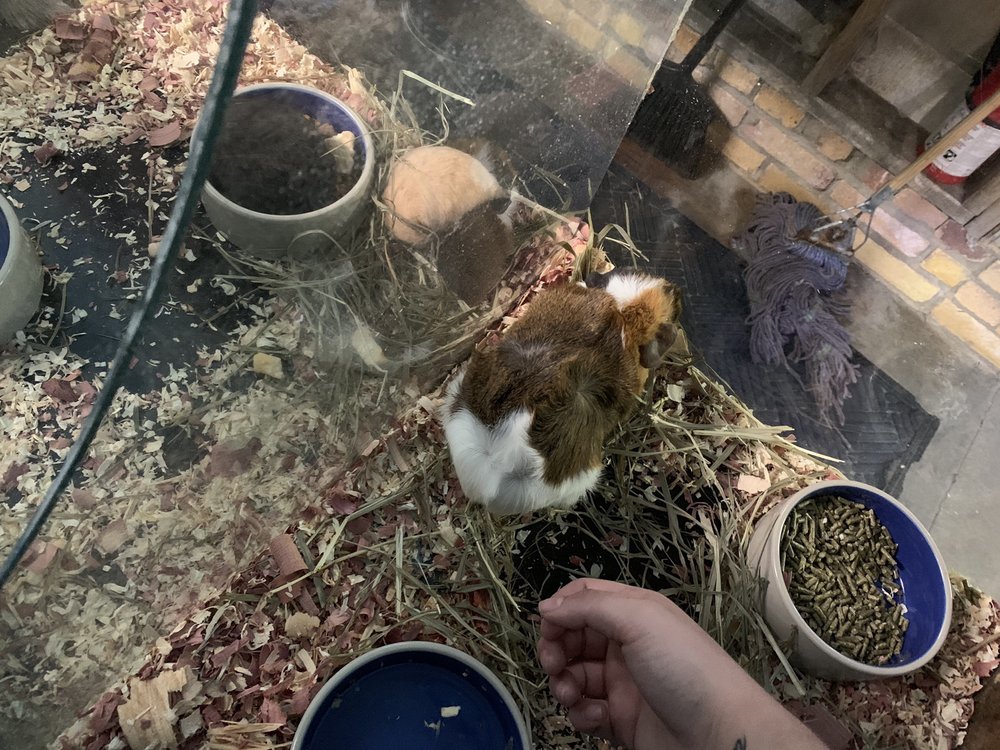 AquaRama Pet Shop 21 Photos & 20 Reviews Pet Stores 4937 Bragg