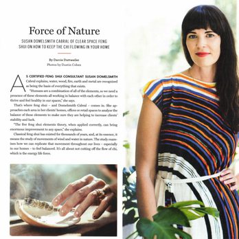 Clear Space Feng Shui - Tribeza article, February 2022 - Home Organization Near Me - Hudson, New York