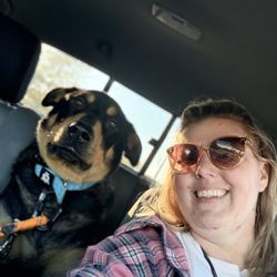 Precision Dog Training Academy