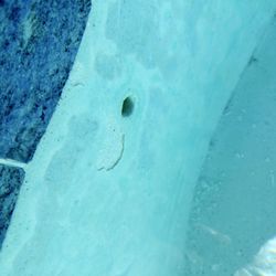 Discount Pool Supply - Great suggestions for pool repair!