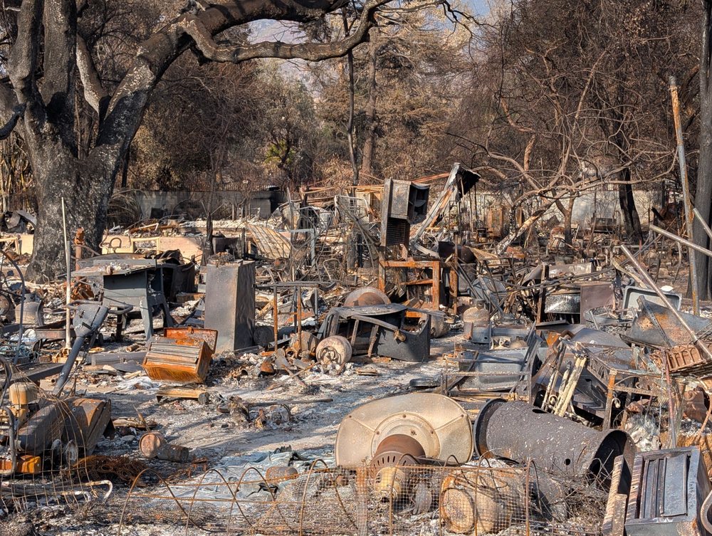 Environmental One - mold inspector in Glendale, CA