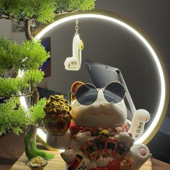 Yoko Kitchen - Super cool kitty at the hostess stand - Ramen Near Me - New Milford, Connecticut Yoko Kitchen - Super cool kitty at the hostess stand - Ramen Near Me - New Milford, Connecticut