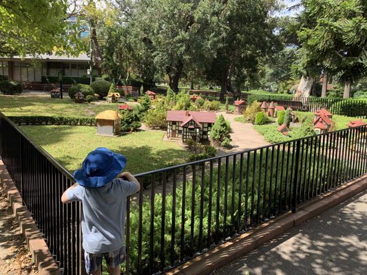 Fitzroy Gardens by null