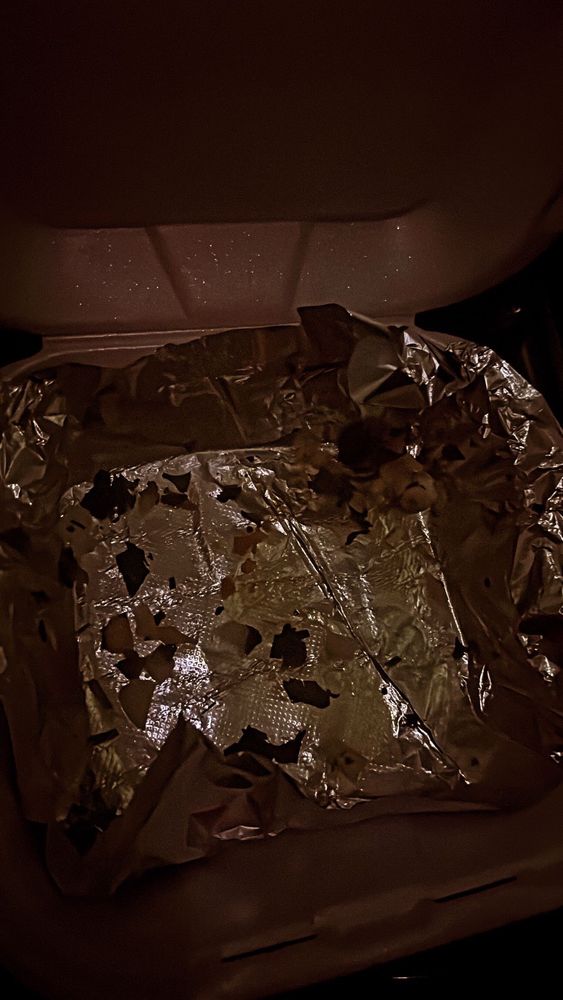 EL PATIO CATRACHO Updated August 2024 8402 103rd St, Jacksonville