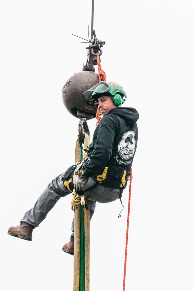 Love’s Tree Service - tree service in Maytown, PA