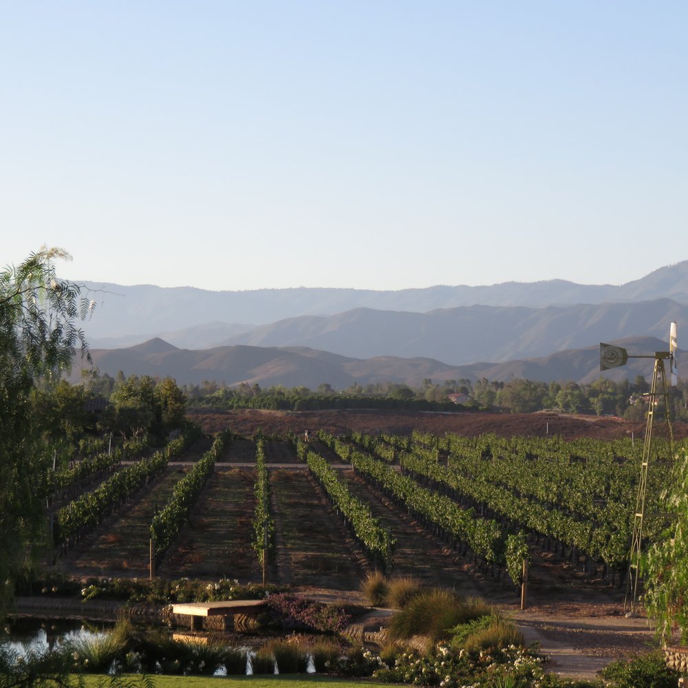 Ponte Vineyard Inn - Gorgeous view from our room. - Hotels Near Me - Temecula, California Ponte Vineyard Inn - Gorgeous view from our room. - Hotels Near Me - Temecula, California